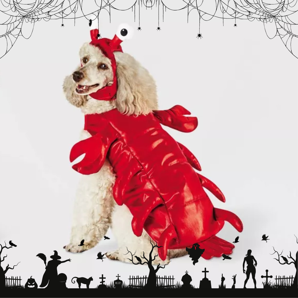Nwot Size M Lobster Dog and Cat Costume - Picture 1 of 10